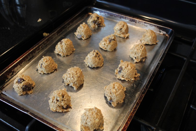 oatmeal-choc-cookies-laid-out