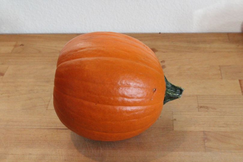 1-sugar-pumpkin