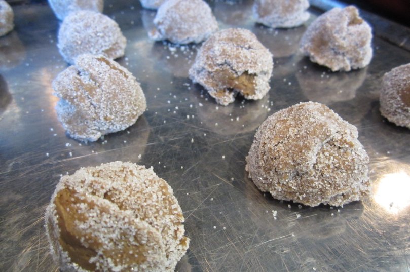 molasses-cookies-balls