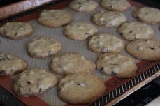 choco chip cookies